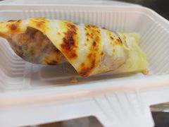 -内涵饵块