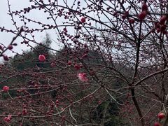 -车溪民俗旅游区
