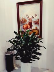 -众山臻美医疗美容医院