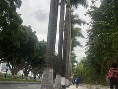-二沙岛艺术公园