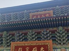 -铁山坪森林公园