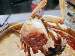 -一绪に寿喜烧自助(世茂广场店)