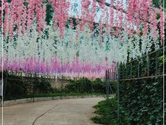 -北京十三陵国家森林公园蟒山景区