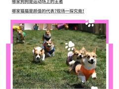-中粮·祥云小镇