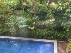 室外泳池-上海崇明金茂凯悦酒店