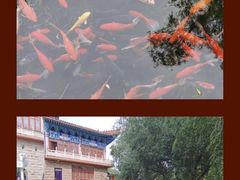 -水磨沟公园