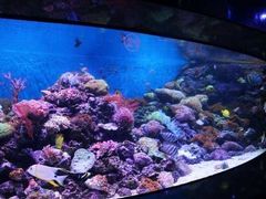 -成都浩海立方海洋公园