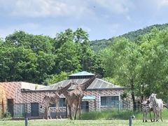 -哈尔滨北方森林动物园