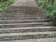 -南京老山国家森林公园