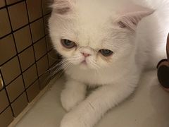 -御一坊盲人推拿(青年路店)