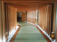 -重庆南山海昌汤都