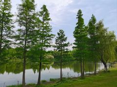 -贡湖湾湿地公园
