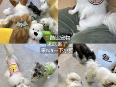 -衣裳街历史文化街区