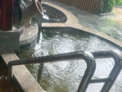 -碧水湾温泉