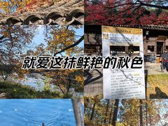 -国家植物园南园