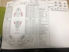 -美联众合动物医院·24h转诊中心