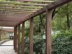 -天鹅湖体育公园