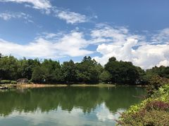 -蝴蝶泉公园
