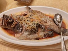 油泼深海清斑鱼-新希望诺富特酒店-青岛湾中餐厅
