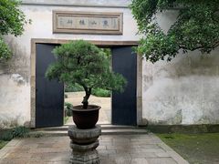 -阿男野栗王(金门路店)