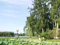 -济南大明湖景区