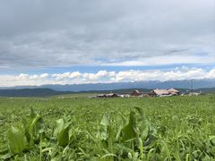 -新疆那拉提国家旅游度假区