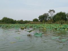 -潜龙渠公园