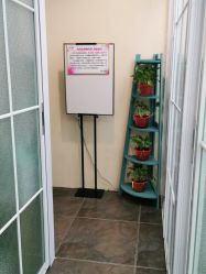 -薇兰专业脱毛连锁机构