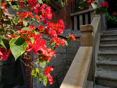 android_upload_pic-杨桃院子旅馆(厦门鼓浪屿中华红墨店)
