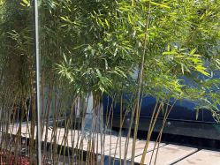 -爱儿美儿童摄影(朝阳公园店)