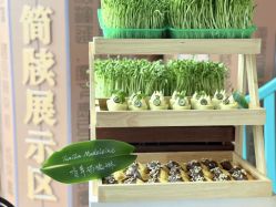 -长沙梅溪湖金茂豪华精选酒店·宴会厅