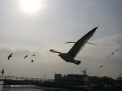 -大连圣亚海洋世界