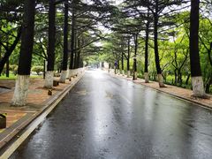 -八大关景区