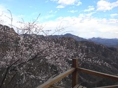 -大岭沟猕猴桃谷风景区