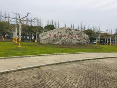 -上海海湾国家森林公园