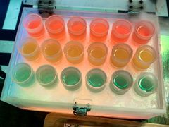 -Famous肥猫墨西哥音乐餐吧(五棵松华熙LIVE店)