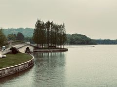 -上海月湖雕塑公园
