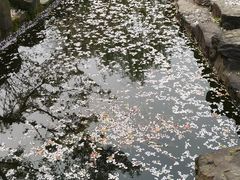 -范蠡湖公园