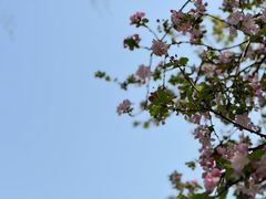 -莫愁湖公园