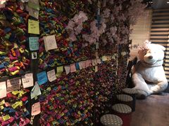 -Outdark Korean Restaurant