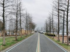 -祝甸砖窑文化馆