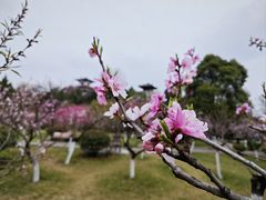 -宝鸡植物园