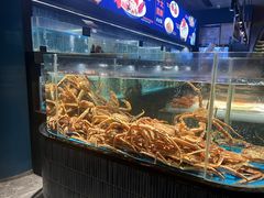 -徐记海鲜(南油永新汇店)