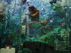 -国家自然博物馆