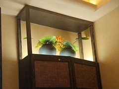 -青泰足浴·SPA养生连锁(新区店)