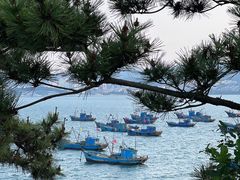 -海源公园