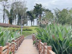 -桤木河湿地公园