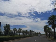 -红树林天天赶海