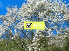 -西海岸生态观光园
