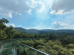 -陶祖圣境风景区